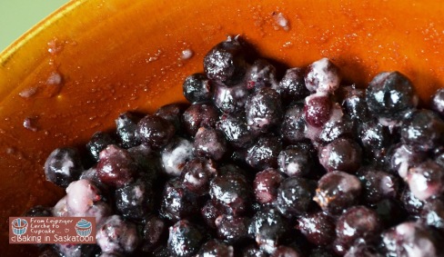 Saskatoon berry mix in a bowl